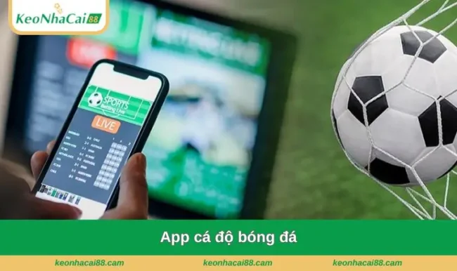 App cá độ bóng đá