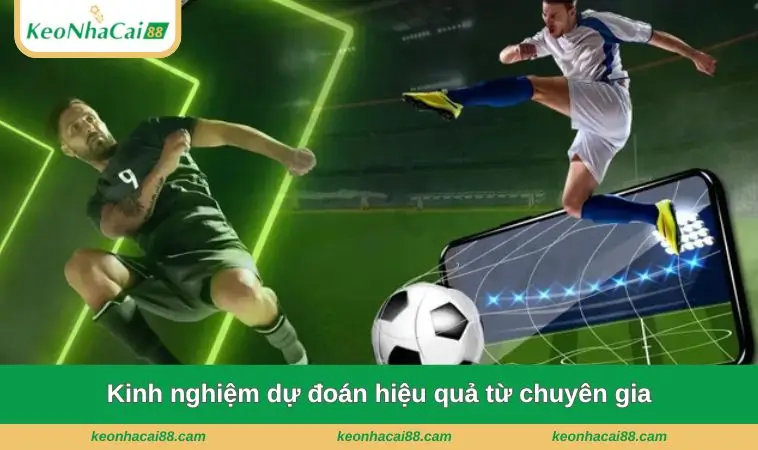 kinh nghiem du doan hieu qua tu chuyen gia Kinh nghiệm dự đoán hiệu quả từ chuyên gia