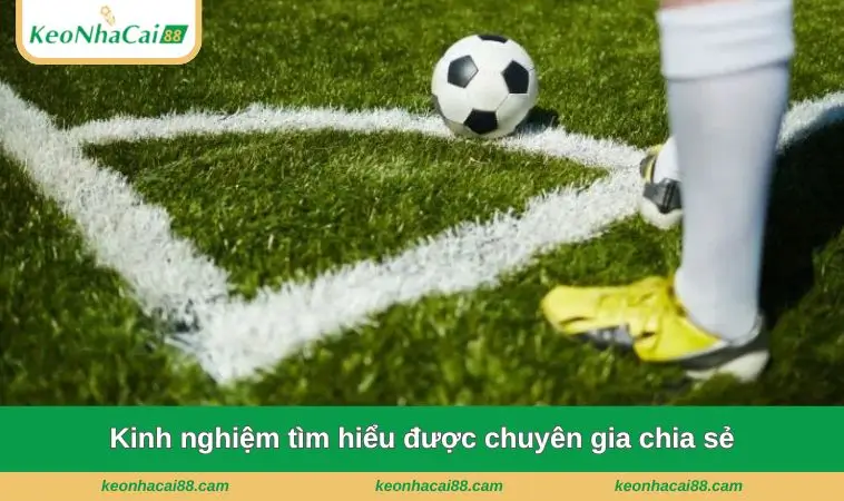 kinh nghiem tim hieu duoc chuyen gia chia se Kinh nghiệm tìm hiểu được chuyên gia chia sẻ
