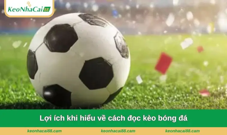 loi ich khi hieu ve cach doc keo bong da Lợi ích khi hiểu về cách đọc kèo bóng đá