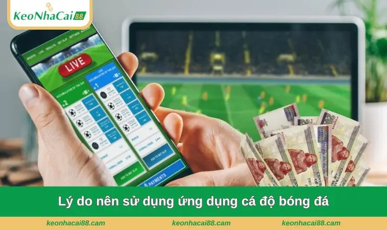 ly do nen su dung ung dung ca do bong da Lý do nên sử dụng ứng dụng cá độ bóng đá