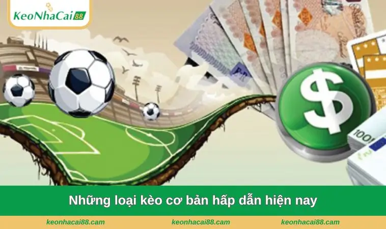 Những loại kèo cơ bản hấp dẫn hiện nay