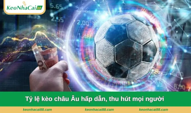 ty le keo chau au hap dan thu hut moi nguoi Tỷ lệ kèo châu Âu hấp dẫn, thu hút mọi người
