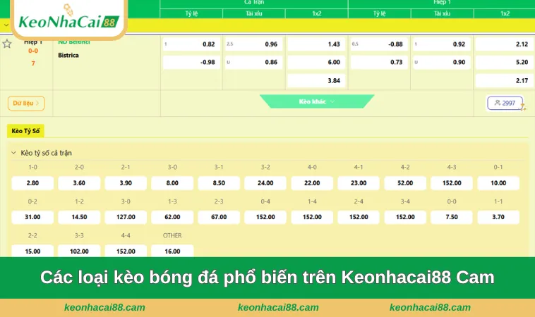 cac loai keo bong da pho bien Các loại kèo bóng đá phổ biến trên Keonhacai88 cam