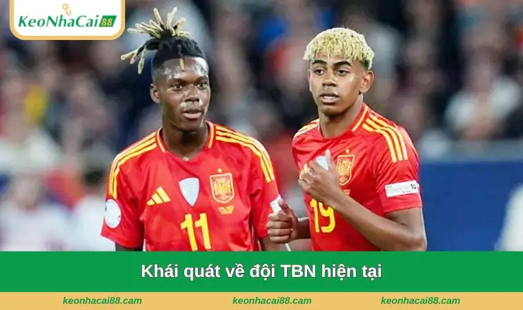 khai quat ve doi tbn hien tai Khái quát về đội TBN hiện tại