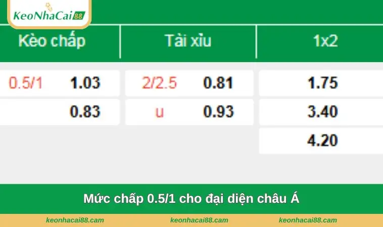 muc chap 0.51 cho dai dien chau a Mức chấp 0.5/1 cho đại diện châu Á