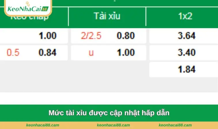 muc tai xiu duoc cap nhat hap dan Mức tài xỉu được cập nhật hấp dẫn