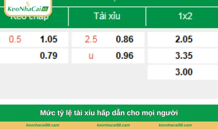 Mức tỷ lệ tài xỉu hấp dẫn cho mọi người