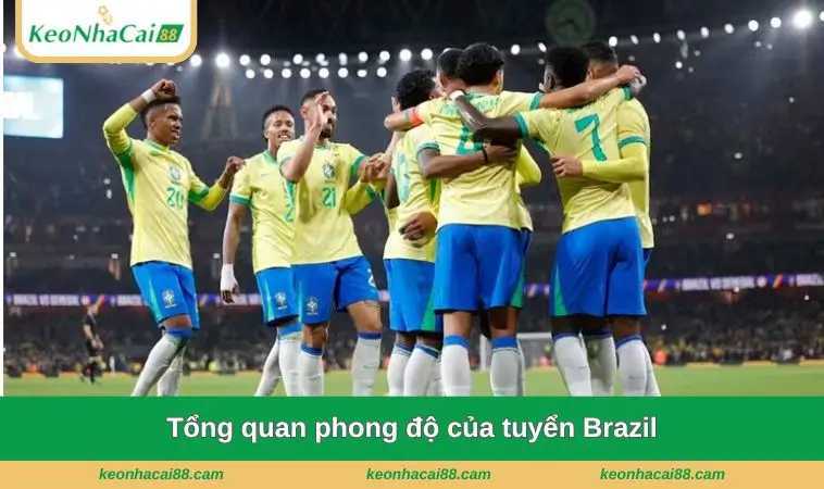 tong quan phong do cua tuyen brazil Tổng quan phong độ của tuyển Brazil