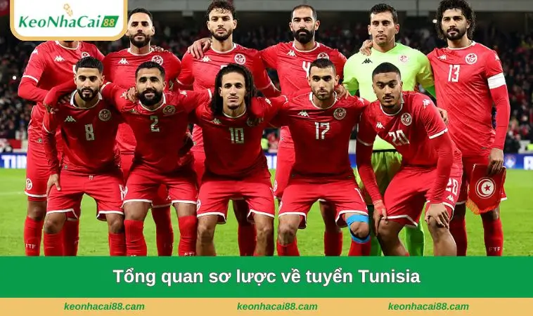 tong quan so luoc ve tuyen tunisia Tổng quan sơ lược về tuyển Tunisia