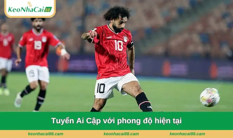 tuyen ai cap voi phong do hien tai Tuyển Ai Cập với phong độ hiện tại